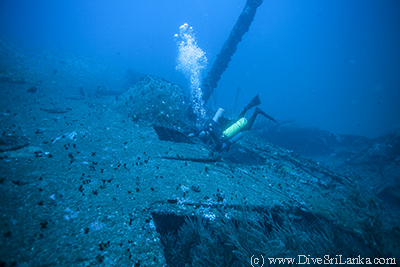 HMS Hermes diver